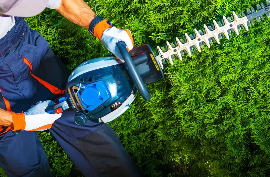 Bush trimming