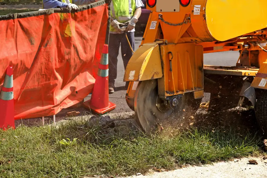 Excellent Stump Grinding Winchester, VA Excellent Stump Grinding Winchester, VA