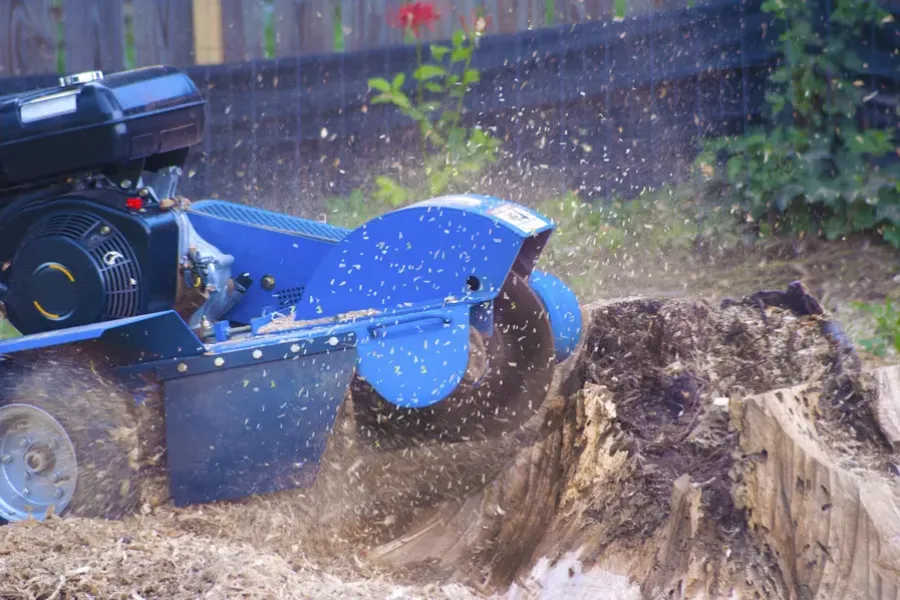 Experienced Stump Grinding Winchester, VA Experienced Stump Grinding Winchester, VA