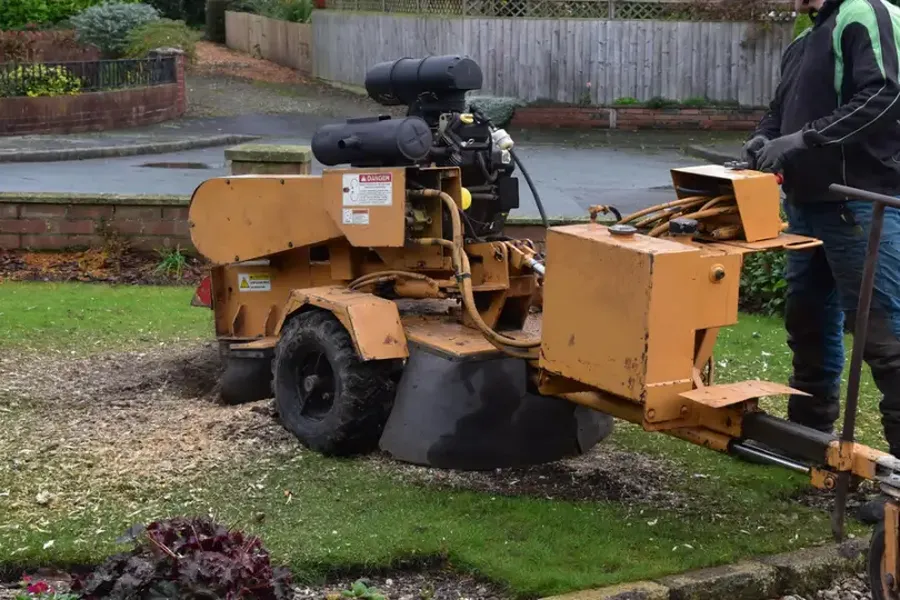 How Stump Grinding Improves Your Landscapes Appearance Winchester, VA