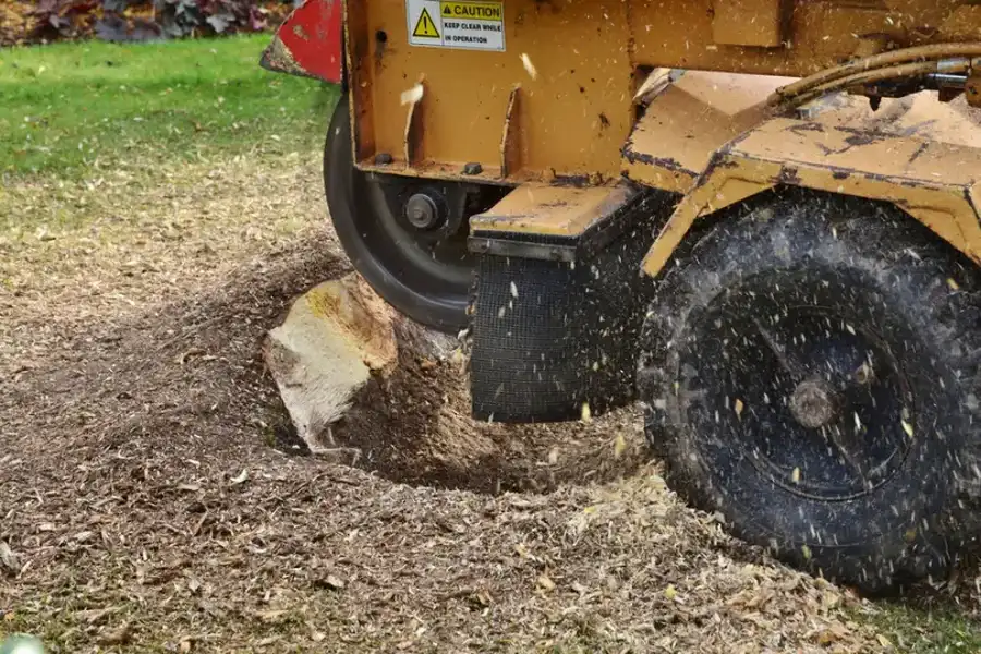How Stump Grinding Improves Your Landscapes Appearance in Winchester, VA