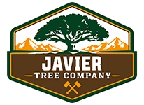 Javier  Tree Company
