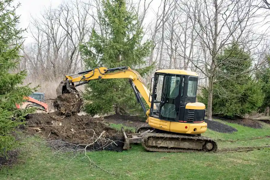 Reliable Stump Removal Winchester, VA