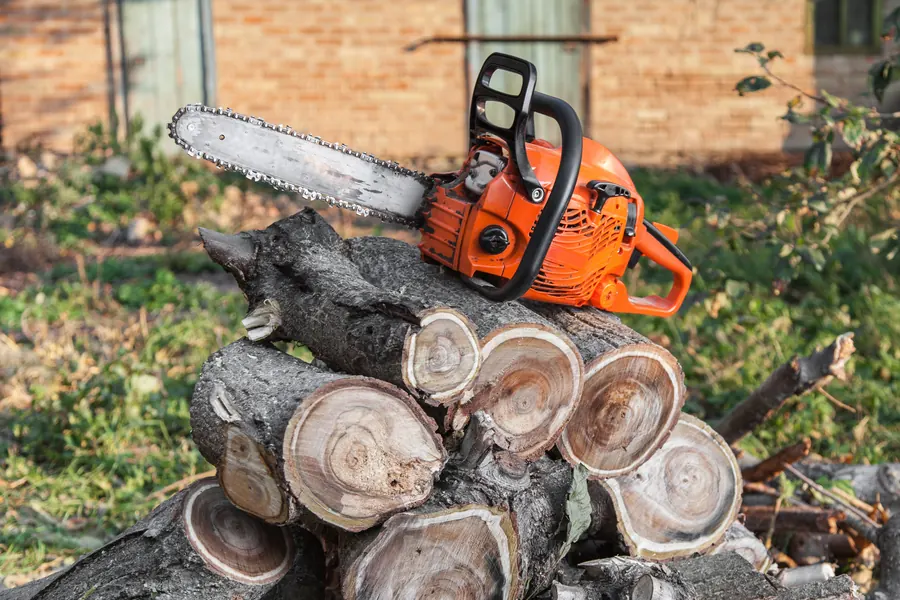 Reliable Tree Service