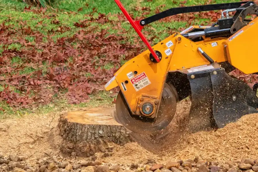 Superior Stump Grinding Winchester, VA Superior Stump Grinding Winchester, VA