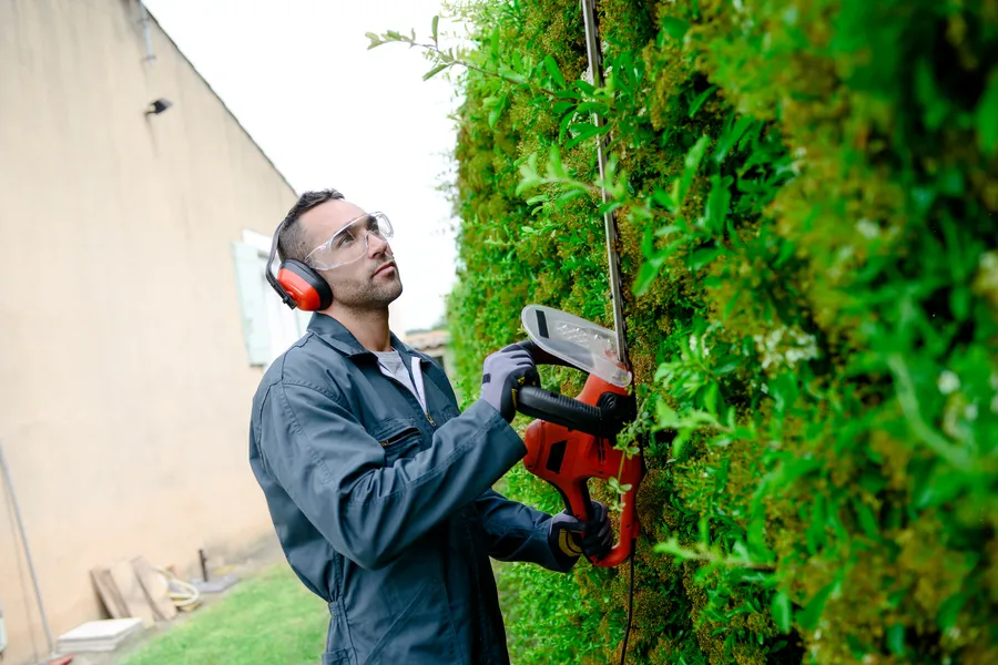 The Benefits Of Bush Trimming For Pest And Disease Control in Winchester, VA